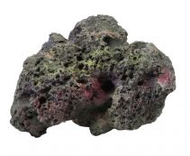 Живые камни для аквариума купить в интернет магазине по цене от 479 руб.