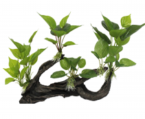 Купить искусственные коряги с анубиасом для аквариума по цене от 485 руб.