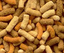 Корм для прудовых рыб купить в Москве. Кормите рыбу в пруду.