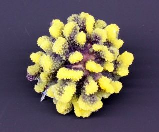 Грот для аквариума 