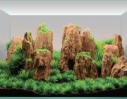 Аквадизайн 