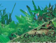 BOYU Фон для аквариума двухсторонний 60см*15м (J03/J13-60)