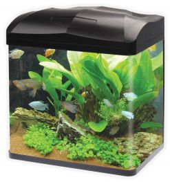 Аквариум 30л в комплекте со светильником (4Вт) и фильтром (G338)