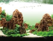 V Аквадизайн 