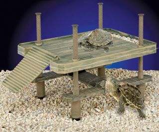 Купить остров для черепах (REP603)