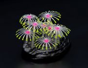 Светящийся декор 