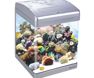 Аквариум серебристый, 31л, фильтр 4 Вт, светильник 11/13Вт. (ASD-320LD silver)