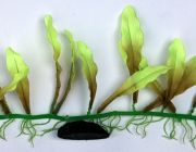 V Шелковое растение 