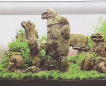 -Аквадизайн (YS-201690)