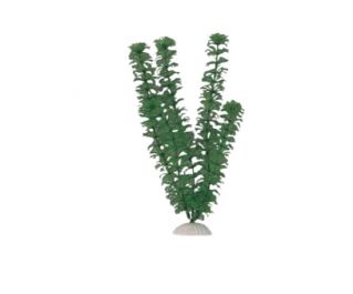 Искусственное растение 