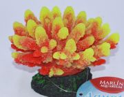 Грот Коралл (YS-17430)