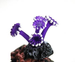 Декор из силикона 