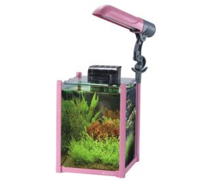 BOYU Аквариум 20л. розовый, фильтр 11Вт, светильник 9Вт (JDG-270 pink)