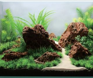 V Аквадизайн 