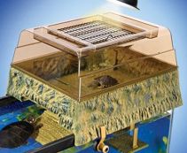 Остров для черепахи над бассейном (REP600) купить