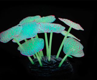 Светящийся декор 