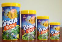 AQUAV Discus Bits (Гранулы для всех дискусов и других тропических рыб) Баночка 100мл (DB-100)