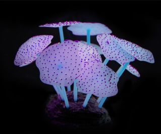 Светящийся декор 