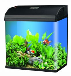 Аквариум  37л, цвет чёрный, фильтр 7Вт.(MR-410 black)