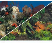 V BOYU-Фон для аквариума двухсторонний 90см*25м (C021090)