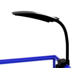 Светильник светодиодный 2Вт. черный (PRO-LED-MW-N-B)